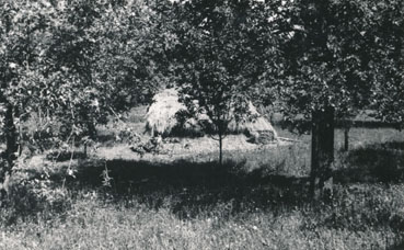 eika image